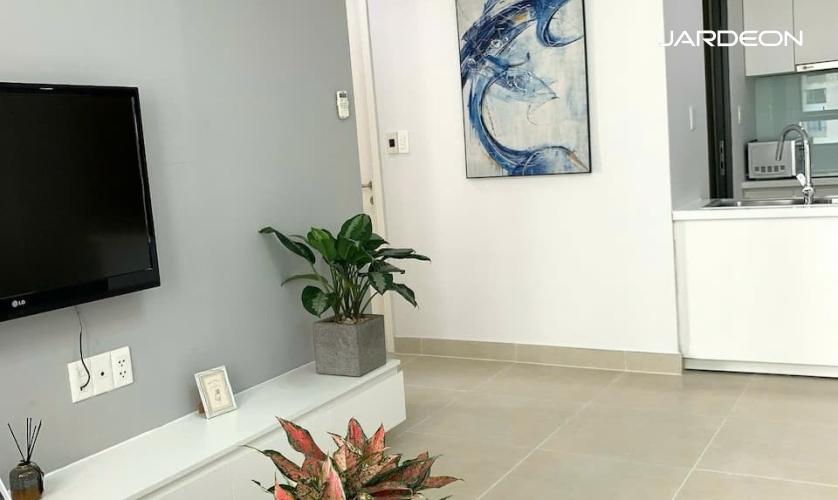 product/apartment/a2556/z7482845231881_127c3668df683c06e31c057da2a8f455.jpg