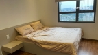 Masteri Thao Dien - 02 bedroom apartment for rent - An Khanh Ward - Ho Chi Minh City